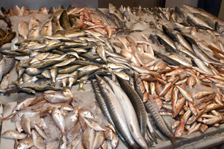 Fischmarkt in antalya foto